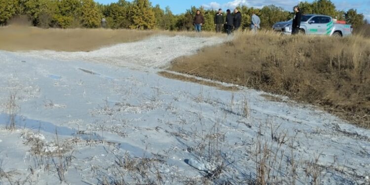 Kuzey Ormanları’na kamyonlarca kimyasal madde döktüler