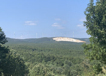 Tarihi yıkım devam ediyor: Kuzey Ormanları’nı tümüyle RES tarlasına ve maden bölgesine çeviriyorlar