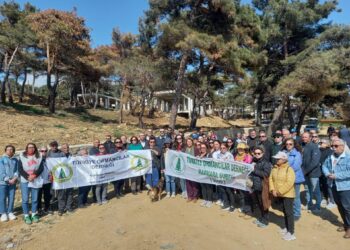Kuzey Ormanları’na beton villa darbesi
