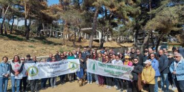 Kuzey Ormanları’na beton villa darbesi