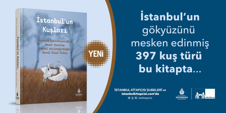 İstanbul’un Kuşları