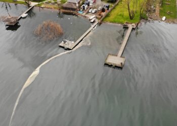Milyonlarca insan ve sayısız canlının içme suyu olan Kuzey Ormanları’nın Sapanca Gölü’ne akaryakıt sızdı