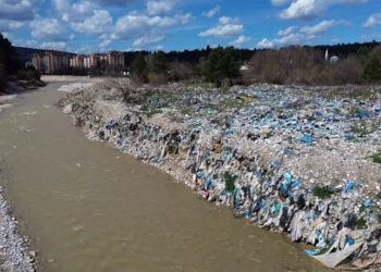 Kuzey Ormanları çayına “çöplük” karıştı