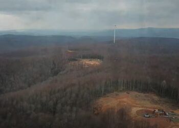 RES yıkımı altındayız: Kuzey Ormanları’nın Silivri mevkilerine bir şirket daha göz dikti