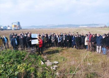 Kuzey Ormanları Kocaeli kırsalını tahrip edecek sanayi tesisinin “ÇED Olumlu” kararı Mahkemece iptal edildi
