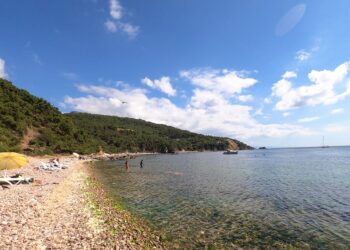 Adalar Belediyesi Burgazada Martha Koyu’nu tahrip edecek ihaleye iptal davası açtı