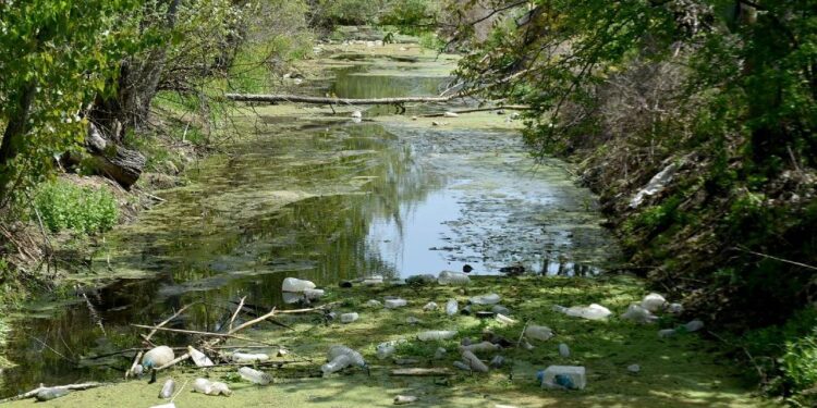 Bayır Deresi de kirlilikten yeşile ve çöplüğe döndü
