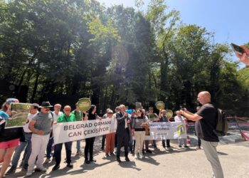Belgrad Ormanı “tabiat parkı” isimli ağır rant inşaat tahribi altında can çekişiyor