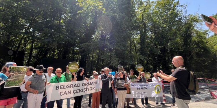 Belgrad Ormanı “tabiat parkı” isimli ağır rant inşaat tahribi altında can çekişiyor