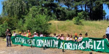 “Herkesi, Kuzey Ormanları’nın her bir parçası için mücadeleye çağırıyoruz”