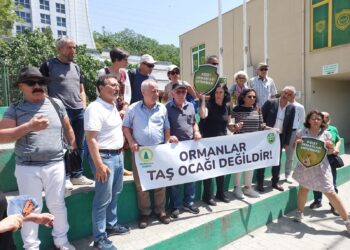 KOS gönüllüleri anlatıyor: Kuzey Ormanlarında yağma seçim sonrasında hızlandı, neredeyse her hafta bir ÇED toplantısı