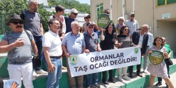 KOS gönüllüleri anlatıyor: Kuzey Ormanlarında yağma seçim sonrasında hızlandı, neredeyse her hafta bir ÇED toplantısı