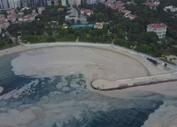 Marmara Denizi üzerindeki baskıları almazsak müsilaj tekrar oluşacak