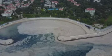 Marmara Denizi üzerindeki baskıları almazsak müsilaj tekrar oluşacak
