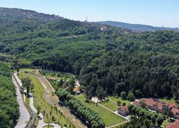 Yüzlerce hektarlık alan ‘devlet kararıyla’ orman dışına çıkarıldı