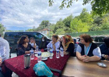 Sultangazi Cebeci Köyü’nde Kuzey Madencilik ağaç kıyımına devam ediyor
