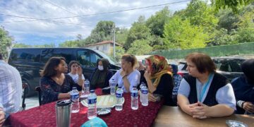 Sultangazi Cebeci Köyü’nde Kuzey Madencilik ağaç kıyımına devam ediyor