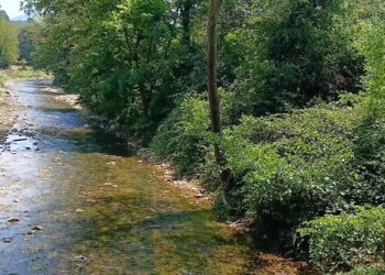 Dereleri betonlamak için orman kesen tek ülkeyiz!