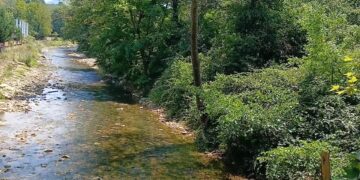 Dereleri betonlamak için orman kesen tek ülkeyiz!