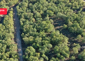 Kuzey Ormanları mevkileri de dahil 500 bin m2 artık orman değil