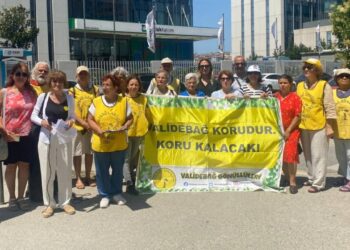 Validebağ Korusu’nda kaçak yapı tehdidi