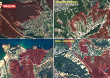 Orman dışına çıkarma kararları hızla devam ediyor