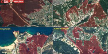 Orman dışına çıkarma kararları hızla devam ediyor