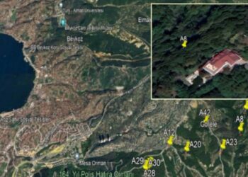 9 ilde 1 milyon 17 bin m2 orman alanı, “orman dışına” çıkarıldı