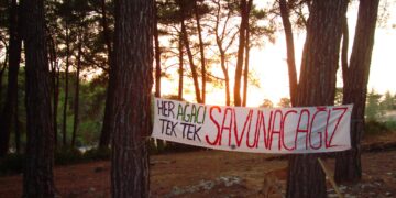 Akçakoca, altın madeni yağmasına karşı Kuzey Ormanları’nı savunmaya hazırlanıyor