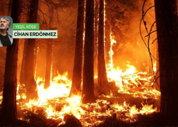 10 soruda orman yangınları – Cihan Erdönmez (Yeşil Gazete)
