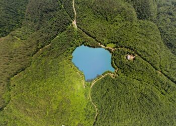 Kuzey Ormanları eşsiz güzelliklerinden Düzce Korugöl ormanları yol yapım çalışmalarıyla tahrip ediliyor