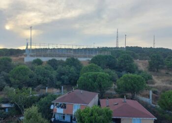 Ümraniye’de Millet Bahçesi adı altında ağaç katliamı