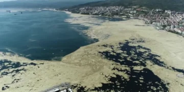 Gemlik’te sanayi kirliliği Marmara’yı öldürüyor