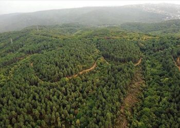 Orman ve meraları işgale açan karar iptal edildi