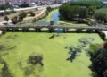 Edirne Tunca nehri tamamen kurumak üzere