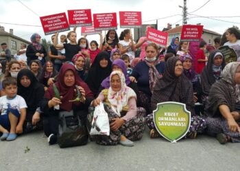 Kuzey Ormanları ve kırsalı umut ve cesaretle savunulmaya devam ediliyor