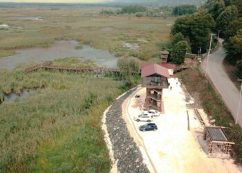 Efteni Gölü çevresinde orman kazınarak ‘Çevre düzenleme’ yapılıyor.