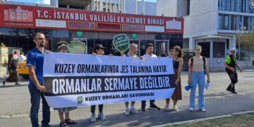 İstanbul il sınırları içindeki 7 ilçede toplam 11 jeotermal kaynak sahası için açık ihale yapıldı
