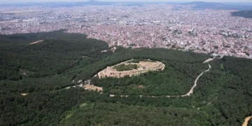 Ormanlarımızı turizm tahribine açacak yönetmelik değişikliği yapıldı