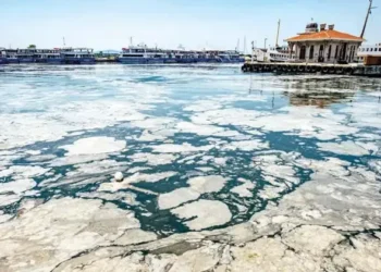 Müsilaj Marmara’da 24 metre derinliğe kadar yayıldı