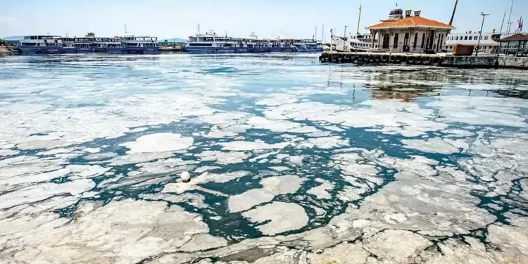 Müsilaj Marmara’da 24 metre derinliğe kadar yayıldı