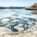 Müsilaj Marmara’da 24 metre derinliğe kadar yayıldı