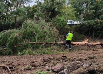 Kocaeli mevkiilerimiz tramvay yolu uğruna ağır tahrip altında