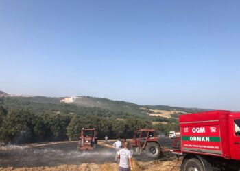 Orman yangınlarına neden olan anızın yakılması halk sağlığı sorunudur