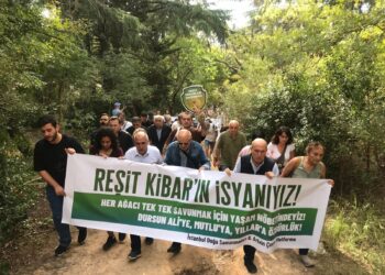 Artvin ormanlarının Cankurtaran mevkiini korurken katledilen Reşit Kibar Validebağ Korusu’nda anıldı