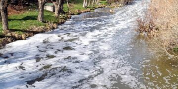 Bolu’da deri sanayi atıkları 10 yıldır Gerede çayına deşarj ediliyor