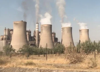 İklim örgütleri ormanları ve doğayı koruyan iklim kanunu istiyor
