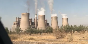 İklim örgütleri ormanları ve doğayı koruyan iklim kanunu istiyor
