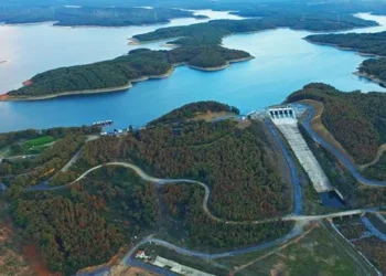 İstanbul’un içme suyunu karşılayan Kuzey Ormanları’nın Ömerli Barajı Havzası, organize sanayi bölgesi tehdidi altında