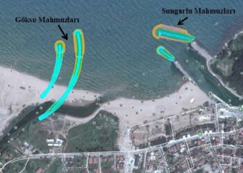 Kuzey Ormanları kıyılarına da tahrip projesi yağıyor:  Ağva kıyılarımıza “mahmuz” darbesi